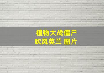 植物大战僵尸吹风英兰 图片